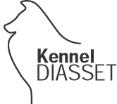 Kennel Diasset